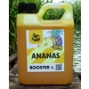 Atraktor wędkarski Booster Ananas GigaBait.pl